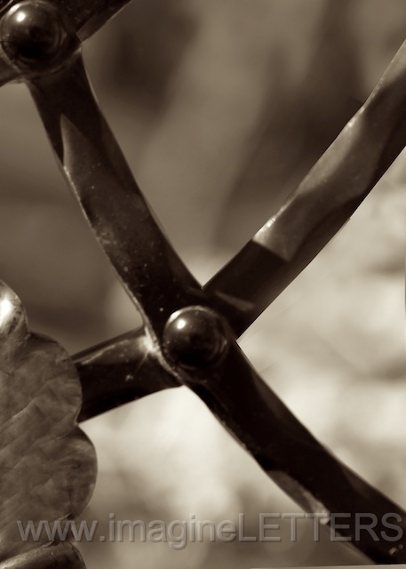 Wall_Art_Alphabet_Photography_Art_ 2514.jpg